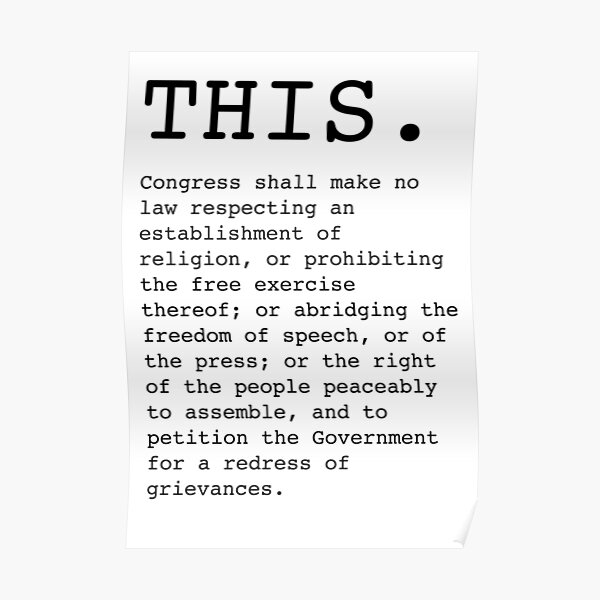 First Amendment Posters Redbubble