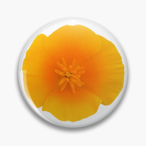 Item preview, Orange Poppy Still Life Floral Photography designed and sold by CottoVerdi.