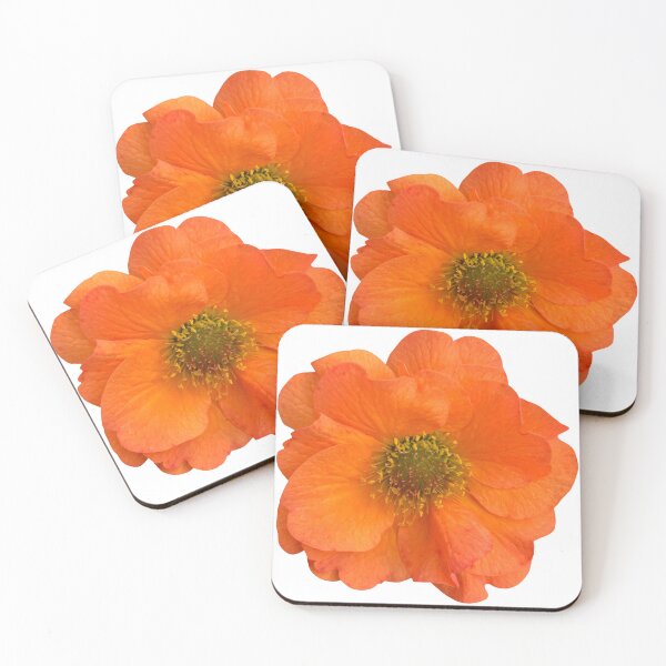Item preview, Orange Geum Still Life Floral Photography designed and sold by CottoVerdi.