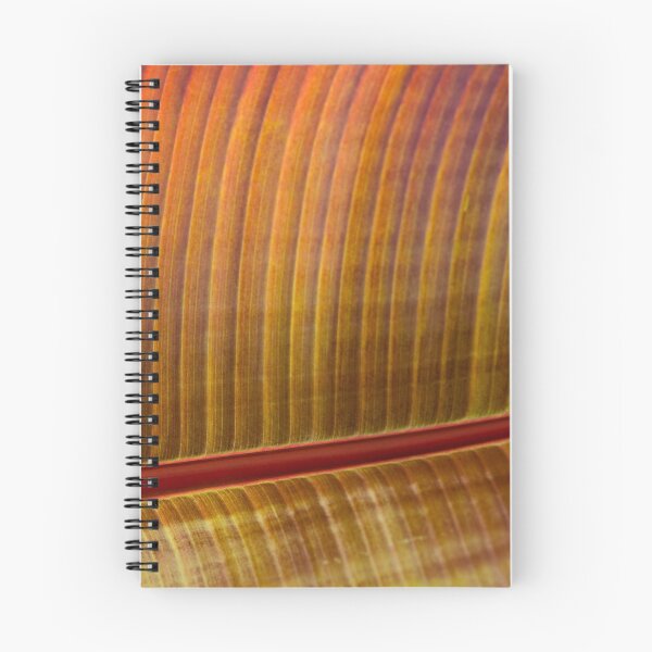 Item preview, Red Banana Ribbed Leaf designed and sold by RichFrancoCars.