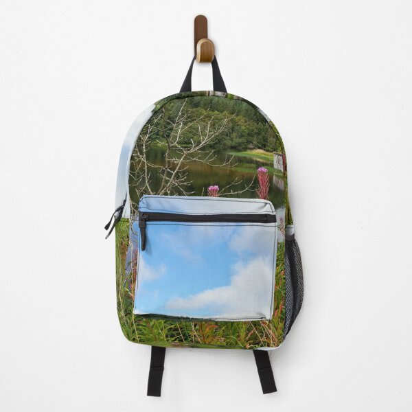 Item preview, Cantref Reservoir, Brecon Beacons, Wales designed and sold by VnGphoto.