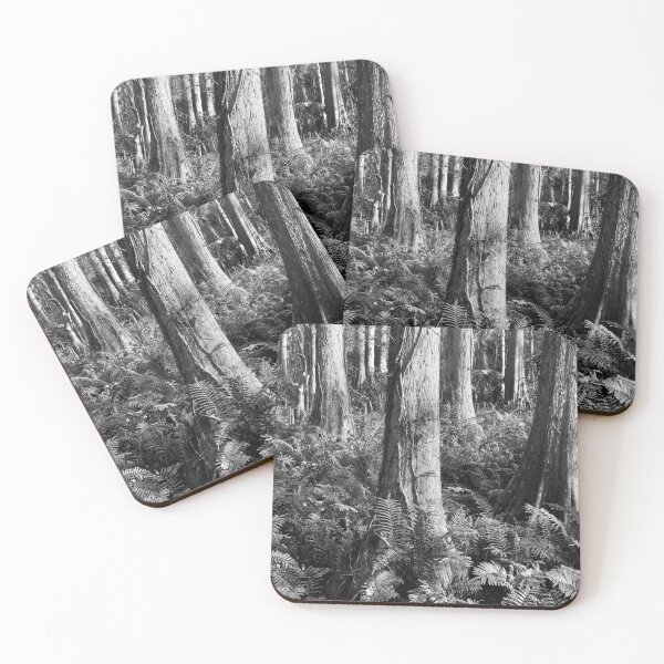 Item preview, Cypress Trees and Ferns Florida designed and sold by RichFrancoCars.