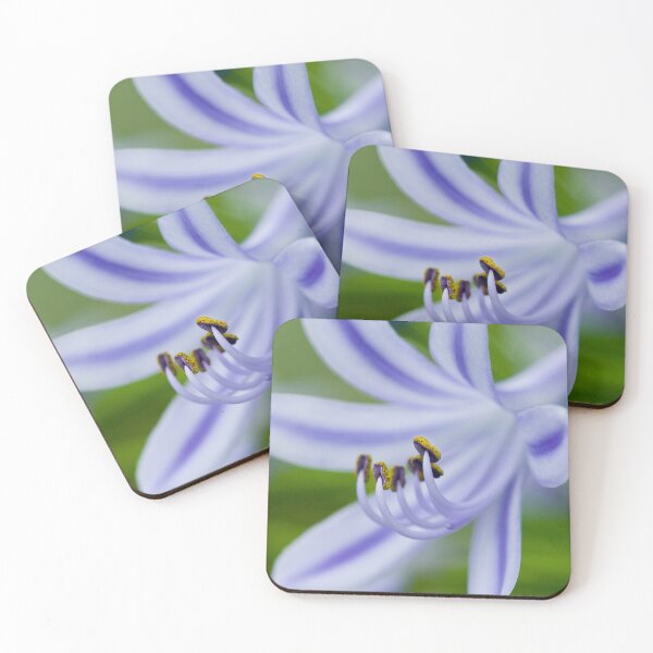 Item preview, Agapanthus Lily,Inviting Friends designed and sold by RichFrancoCars.