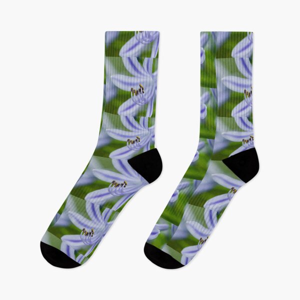 Item preview, Agapanthus Lily,Inviting Friends designed and sold by RichFrancoCars.