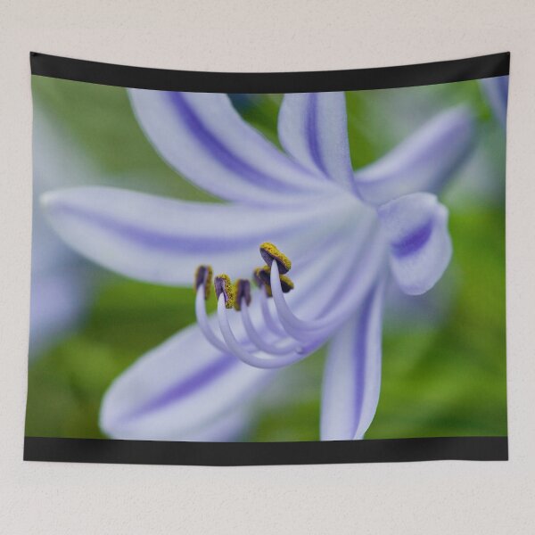 Item preview, Agapanthus Lily,Inviting Friends designed and sold by RichFrancoCars.