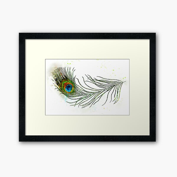 Single Male Peacock tail Feather against colorful Our beautiful pictures  are available as Framed Prints, Photos, Wall Art and Photo Gifts
