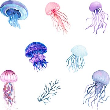 Vorschaubild zum Design Aquarell-Quallen-Sammlung von silviaol