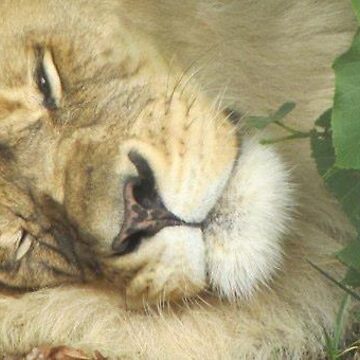 Artwork thumbnail, Sleeping Beast by Patrick Beamish