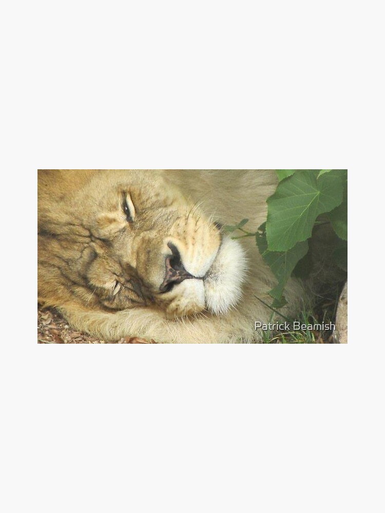 Thumbnail 3 of 3, Sticker, Sleeping Beast designed and sold by TrickyBeamy28.