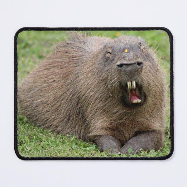Item preview, The Sleepy Capybara designed and sold by Ladymoose.