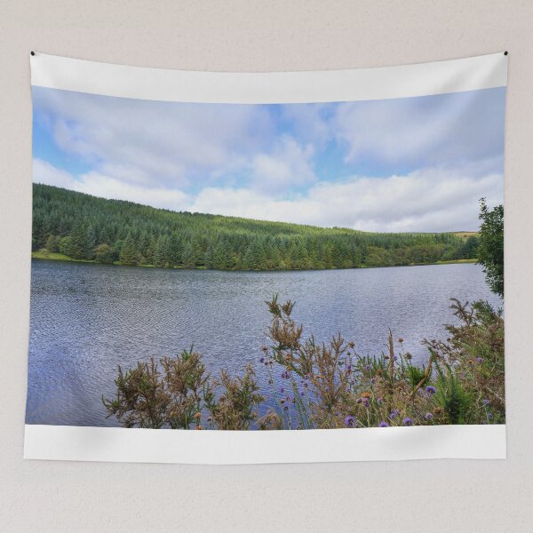 Item preview, Cantref Reservoir, in the beautiful Brecon Beacons designed and sold by VnGphoto.