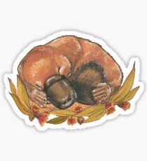 Sleepy platypus Sticker