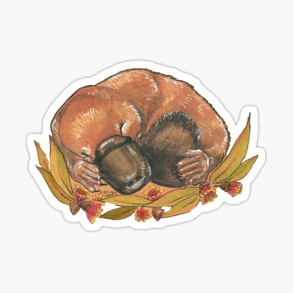 Sleepy platypus Sticker