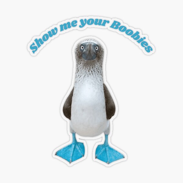 Nice Boobies Adult Humor Halloween Gift Booby Bird' Sticker