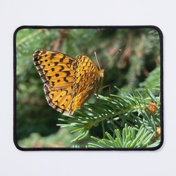 Item preview, Butterfly in Evergreen  designed and sold by MirandaOriginal.