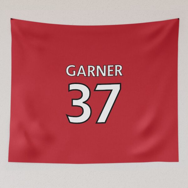 Aperçu de l'œuvre James Garner n ° 37 créée et vendue par LakeshowThreads.