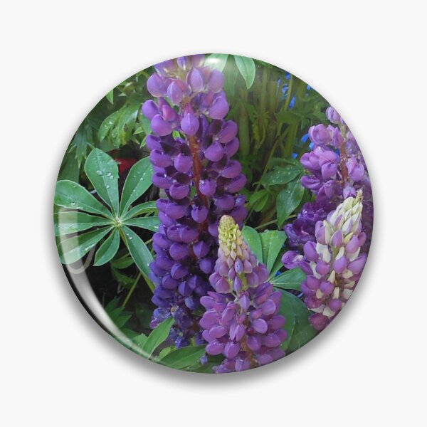 Artikelvorschau, Oval Lupinen Vignette entworfen und verkauft von Kathryn Jones.