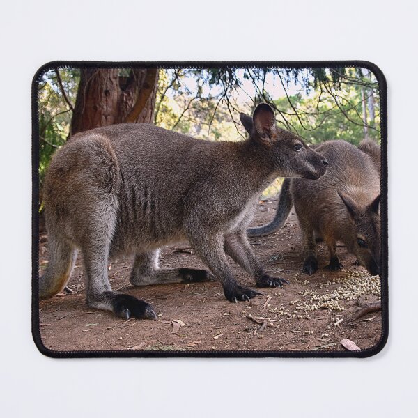 Item preview, Wallabies designed and sold by andreisky.