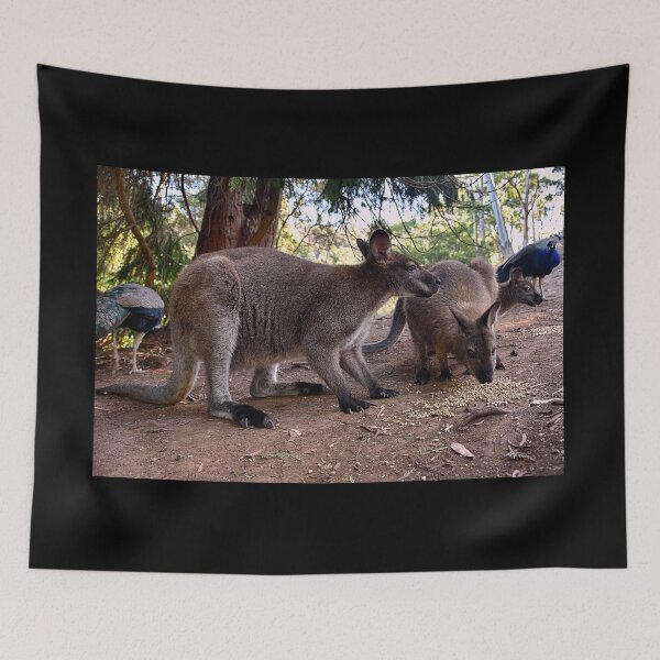 Item preview, Wallabies designed and sold by andreisky.