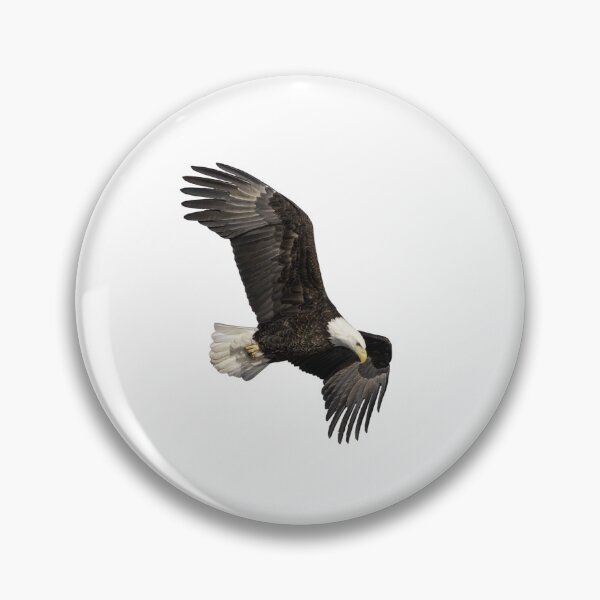 Item preview, Isolated Bald Eagle 2019-13 designed and sold by Thomasyoung.