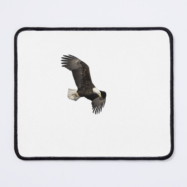 Item preview, Isolated Bald Eagle 2019-13 designed and sold by Thomasyoung.