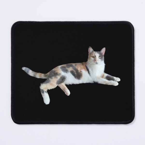 Item preview, Home Sleeping Cute Funny Cat designed and sold by Ankerd.
