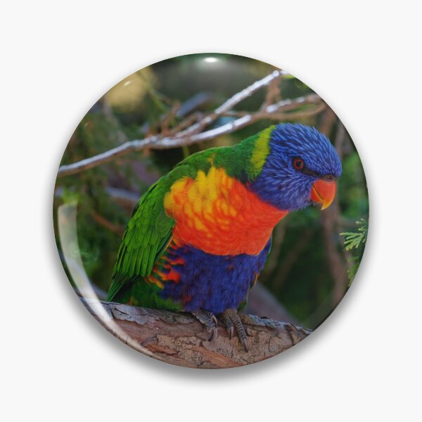 Item preview, Rainbow with wings designed and sold by Mrtweety.