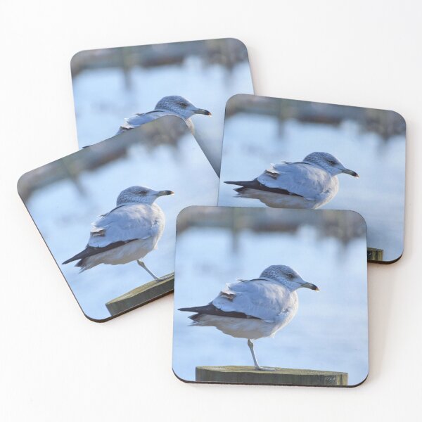 Item preview, Sunning Sea Gull designed and sold by DonnaM.