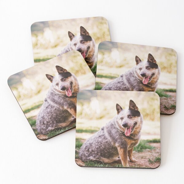 Item preview, Maju #1 - Dog Blue Heeller designed and sold by anafrancisconi.
