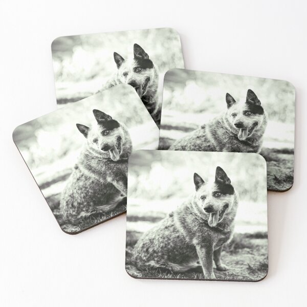 Item preview, Maju #2 - Dog Blue Heeller designed and sold by anafrancisconi.