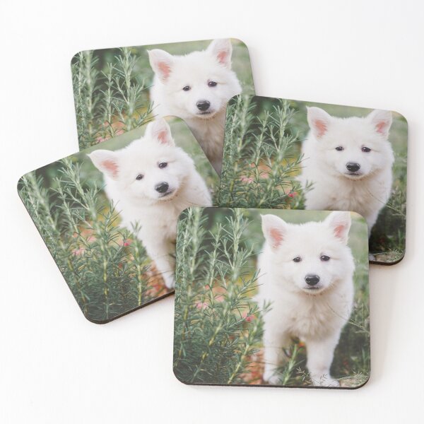 Item preview, Brisa #1 - Dog Berger Blanc Suisse designed and sold by anafrancisconi.
