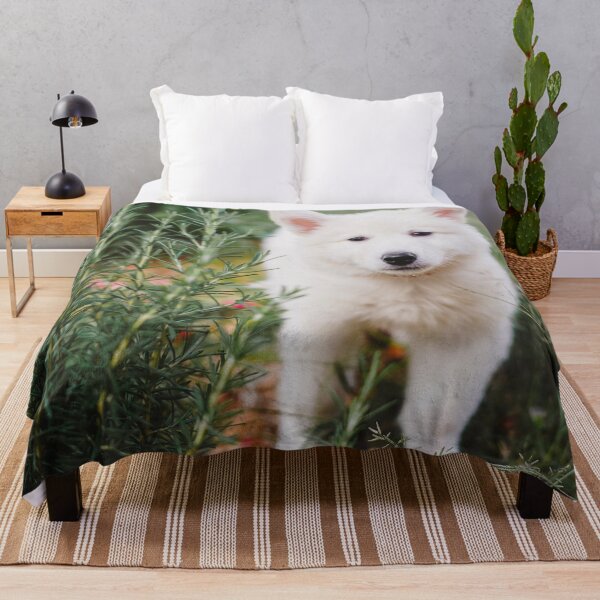 Item preview, Brisa #1 - Dog Berger Blanc Suisse designed and sold by anafrancisconi.