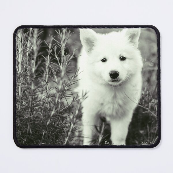 Item preview, Brisa #2 - Dog Berger Blanc Suisse designed and sold by anafrancisconi.