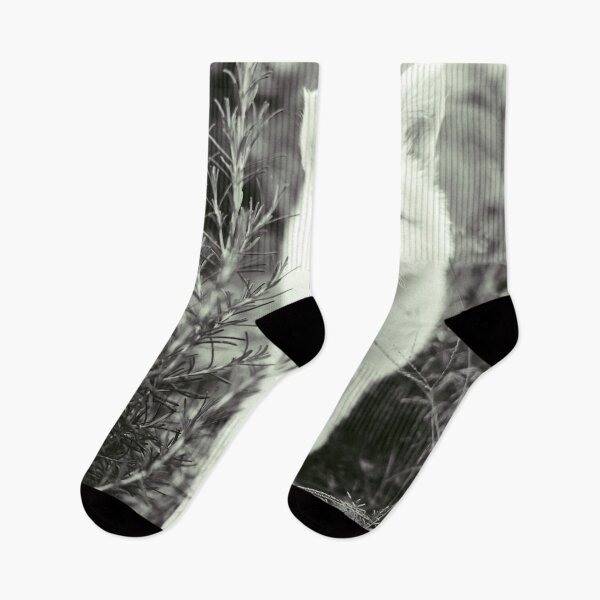 Item preview, Brisa #2 - Dog Berger Blanc Suisse designed and sold by anafrancisconi.