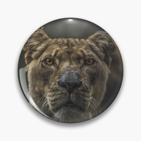 Item preview, The Lone Lioness designed and sold by Shounenbat.