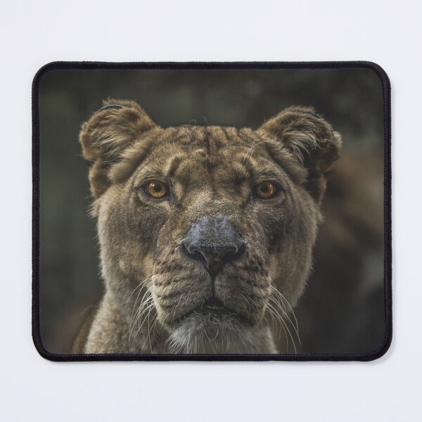 Item preview, The Lone Lioness designed and sold by Shounenbat.