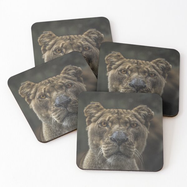 Item preview, The Lone Lioness designed and sold by Shounenbat.