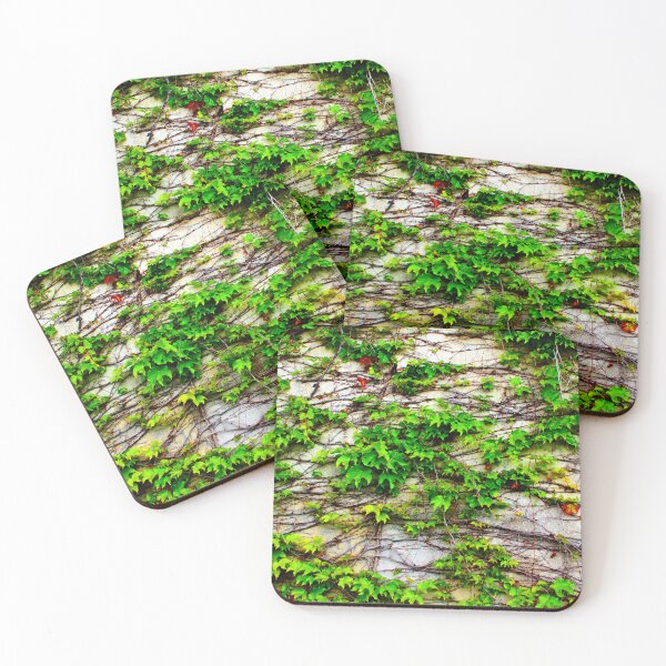 Item preview, View from San Leucio at a wall with a growing plant designed and sold by Kristina Drozd.