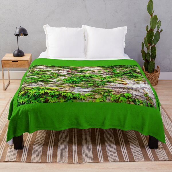 Item preview, View from San Leucio at a wall with a growing plant designed and sold by Kristina Drozd.