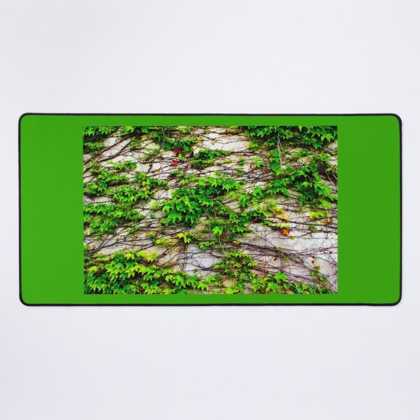 Item preview, View from San Leucio at a wall with a growing plant designed and sold by Kristina Drozd.