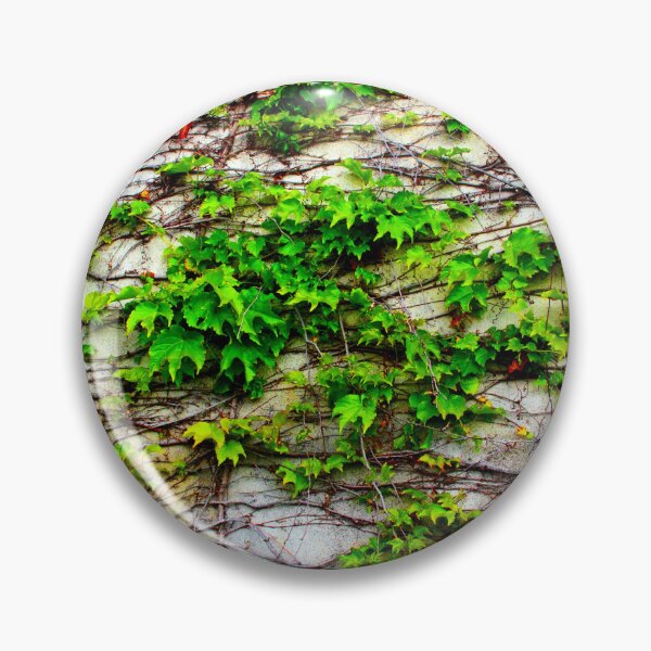 Item preview, View from San Leucio at a wall with a growing plant designed and sold by Kristina Drozd.