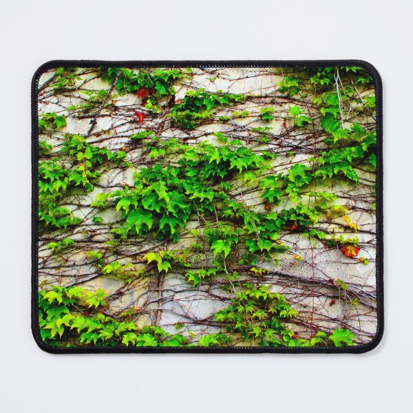 Item preview, View from San Leucio at a wall with a growing plant designed and sold by Kristina Drozd.
