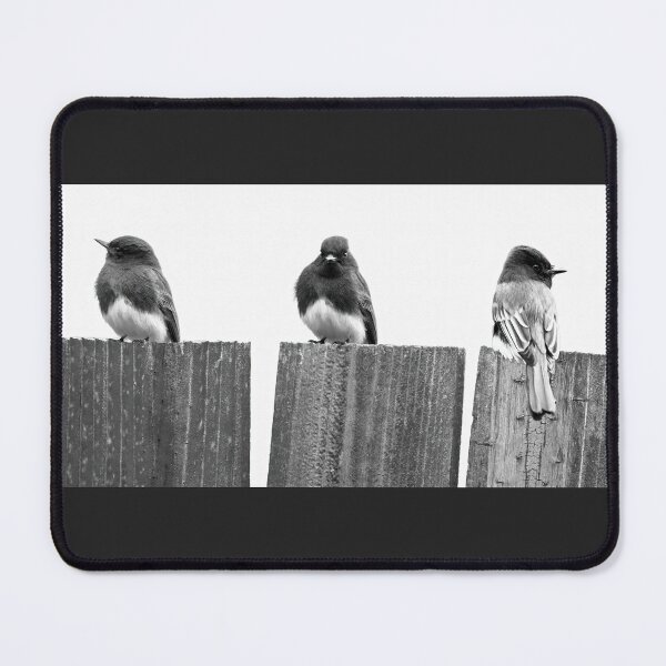 Item preview, Fence Sitters designed and sold by CarolM.