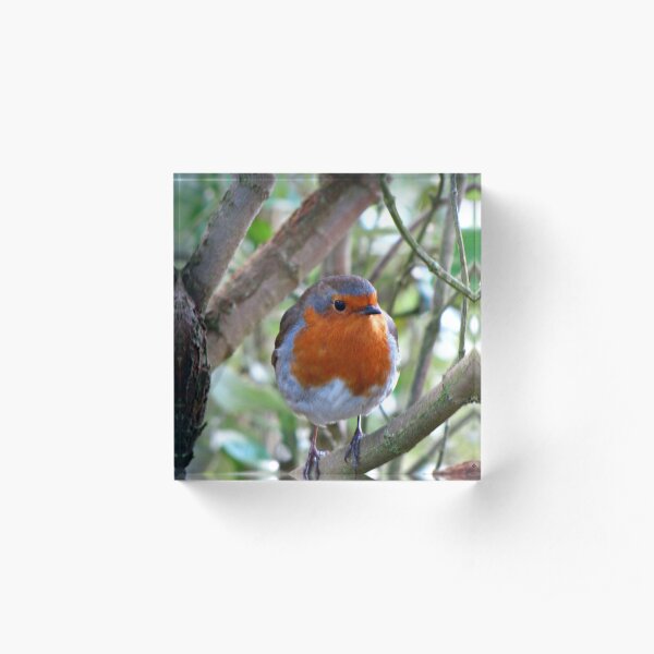 " This is MY Garden" Acrylic Block