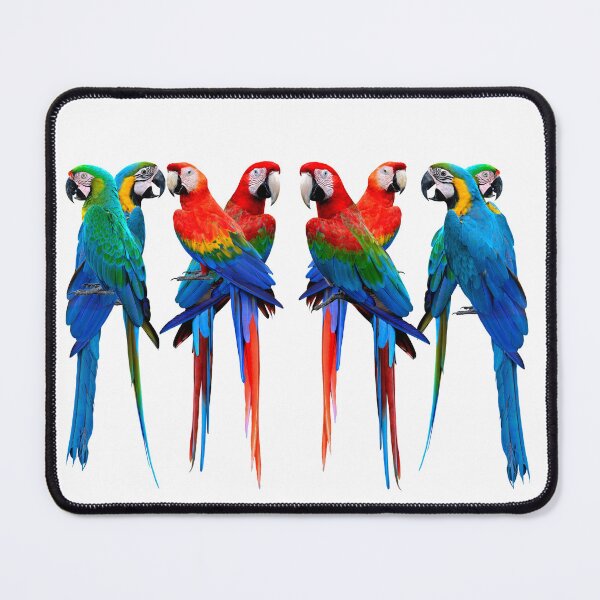 Item preview, Beautiful Macaws. The Scarlet Macaw, Greenwing Macaw and The Blue and Gold Macaw lovely design for parrot lovers. designed and sold by Abstractdiva.