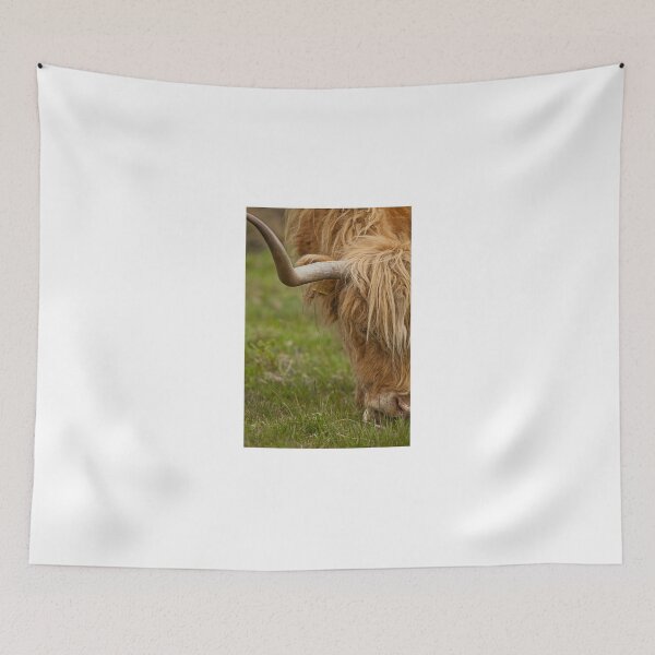 Item preview, Highland Cow designed and sold by LizzieMaher.