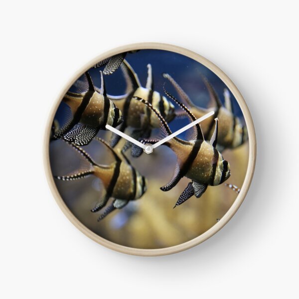 Swimming Clock