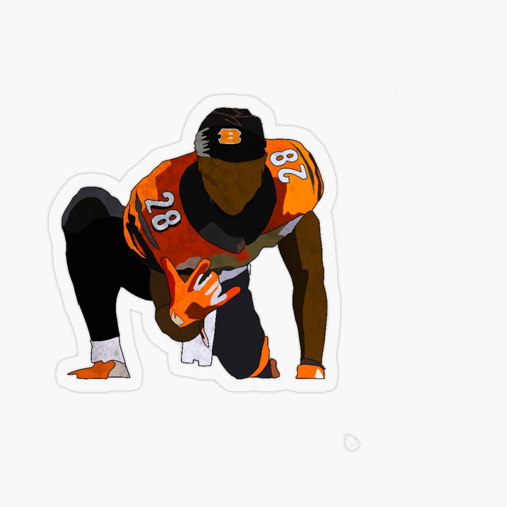 NFL Cincinnati Bengals — Verlander Design