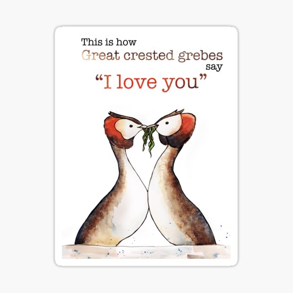 "I Love you" in Grebe Sticker