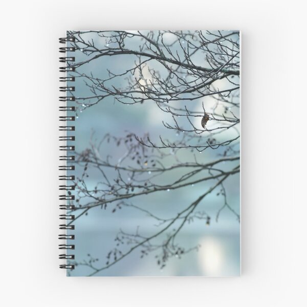 Item preview, " Ice Lake Of Eden " designed and sold by Richard Couchman.